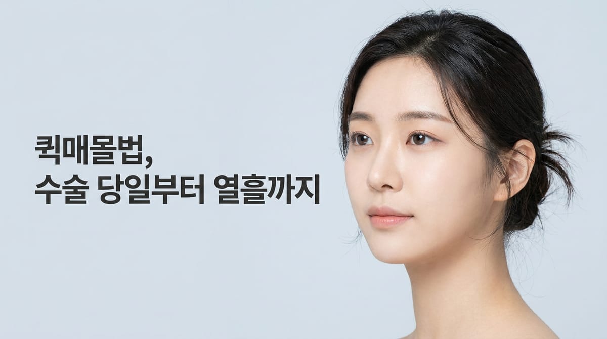 첫눈쌍수 퀵매몰법, 회복 시기별 주의사항과 자주 묻는 질문